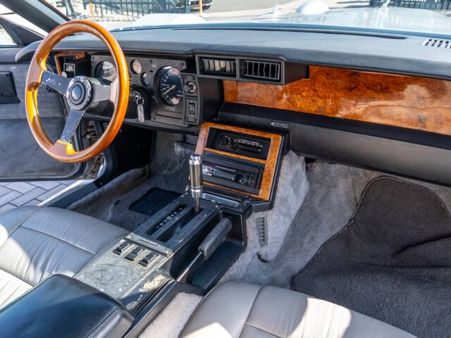 Johnson Phantom