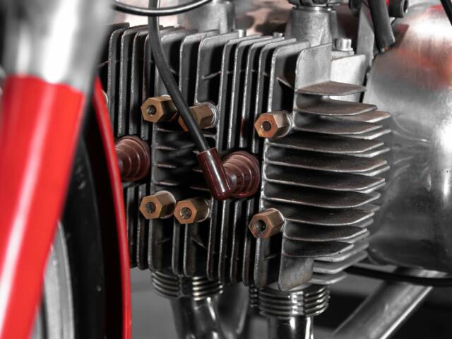 Rumi Junior Gentleman 125