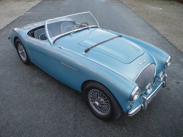 Austin-Healey 100/4 (BN1)