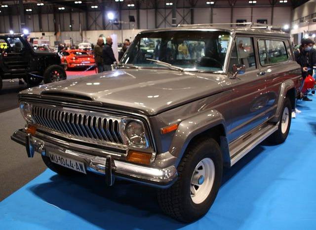 Bild 1/9 von Jeep Jeep Wagoneer 360 V-8 (1978)