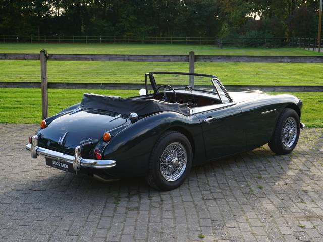 Austin-Healey 3000 Mk III (BJ8)