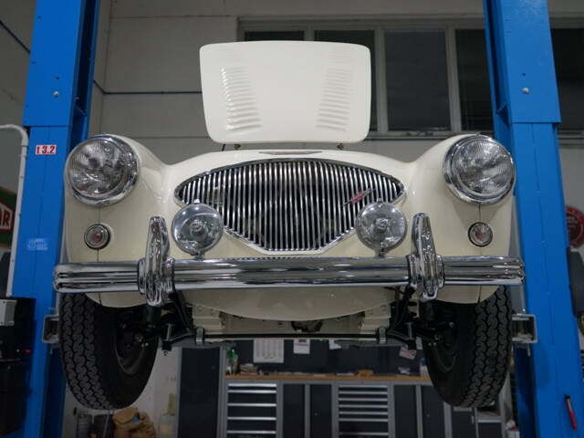 Austin-Healey 100/4 (BN2)