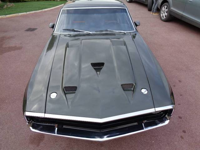Imagen 1/35 de Ford Shelby GT 500 (1969)