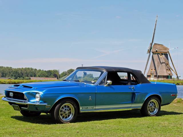 Image 1/25 of Ford Shelby GT 350 (1968)
