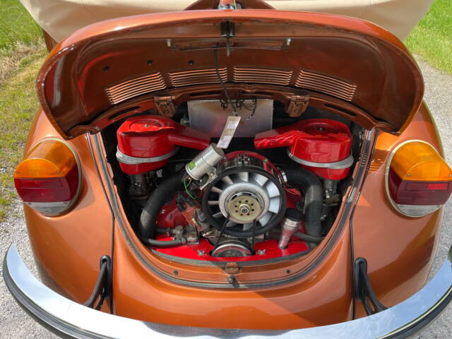 Volkswagen Beetle 1303