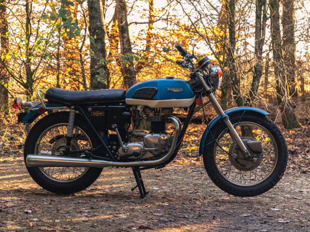 Image 1/18 de Triumph DUMMY (1973)