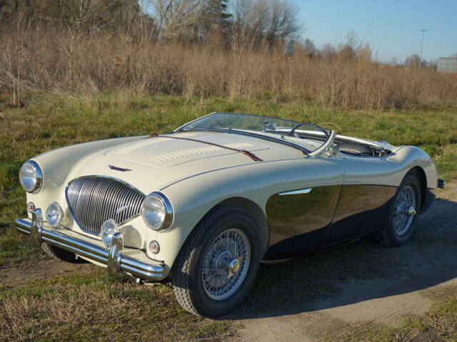 Austin-Healey 100/4 (BN2)