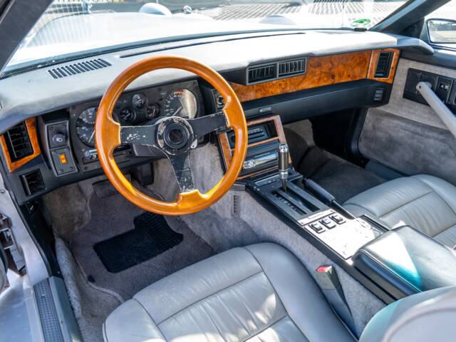 Johnson Phantom