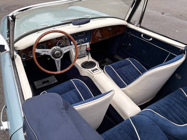 Austin-Healey 3000 Mk III (BJ8)