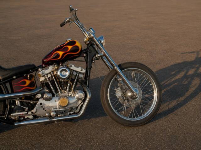 Harley-Davidson Easy Rider Billy Bike