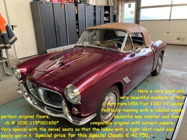 Bild 1/50 von FIAT 1100-103 E TV-Cabriolet (1956)