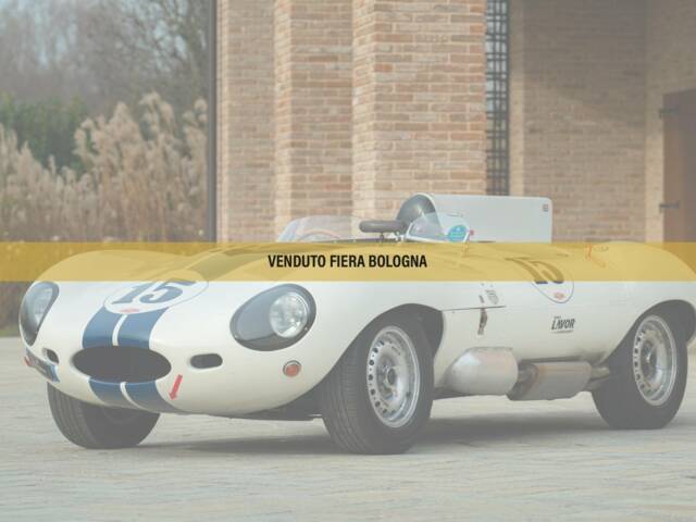 Afbeelding 1/50 van Jaguar D-Type (1977)