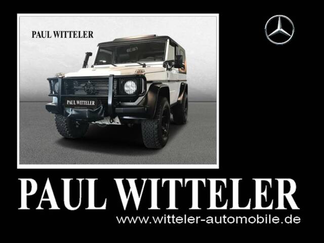 Afbeelding 1/21 van Mercedes-Benz 250 GD Wolf (LWB) (1990)