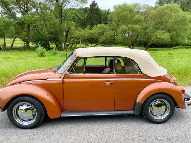 Volkswagen Beetle 1303