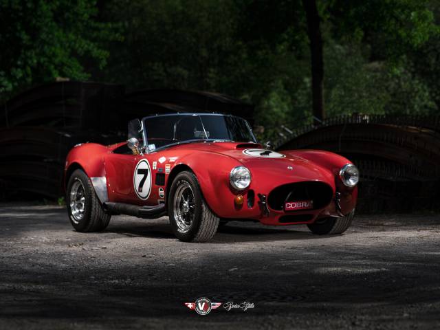 Bild 1/17 von Contemporary Classics Cobra 302 (1967)