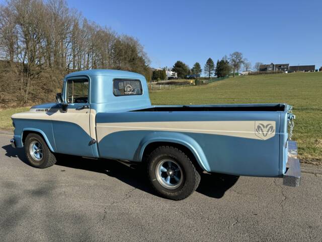 Dodge D 100