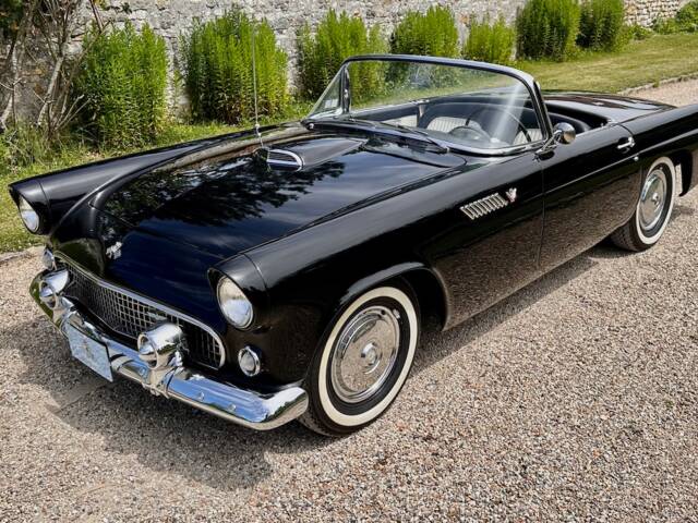 Immagine 1/91 di Ford Thunderbird (1955)