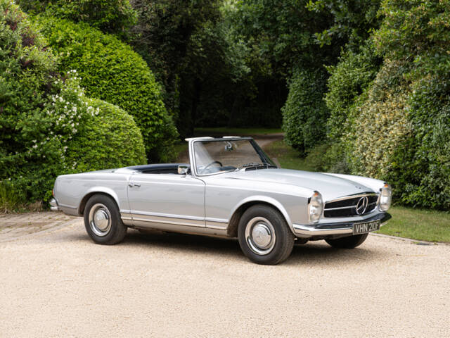 Bild 1/41 von Mercedes-Benz 250 SL (1967)