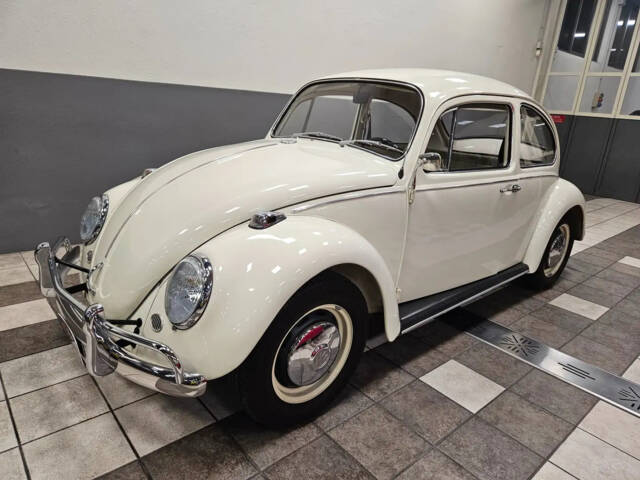 Bild 1/13 von Volkswagen Beetle 1300 (1967)