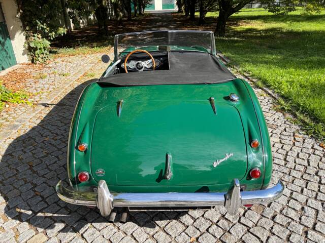 Austin-Healey 100/6 (BN6)