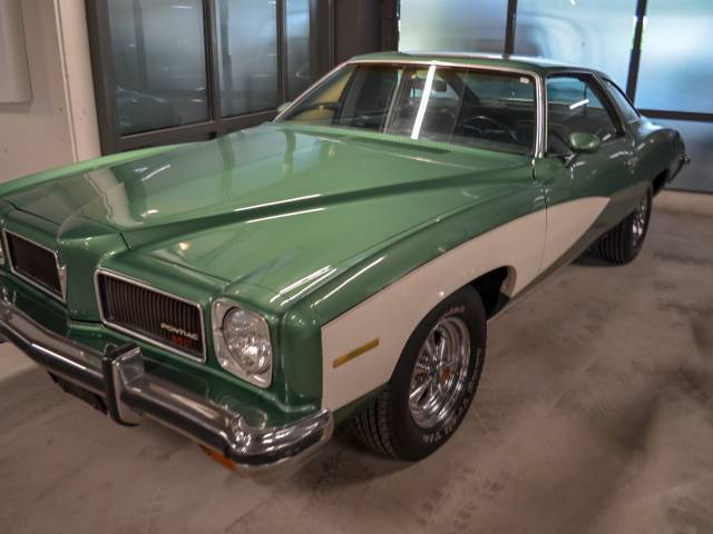 Immagine 1/15 di Pontiac Le Mans (1973)