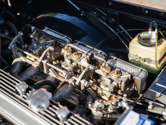 Triumph TR 250