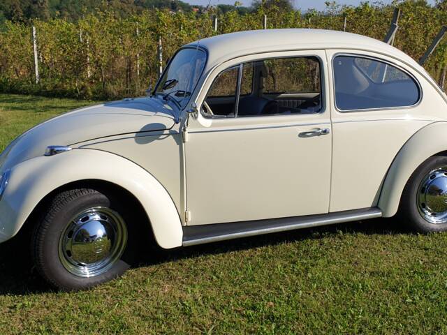 Immagine 1/10 di Volkswagen Beetle 1300 (1967)