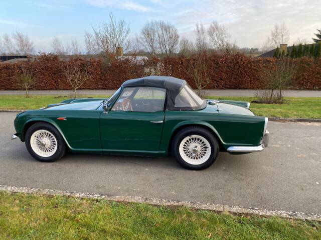 Triumph TR 4