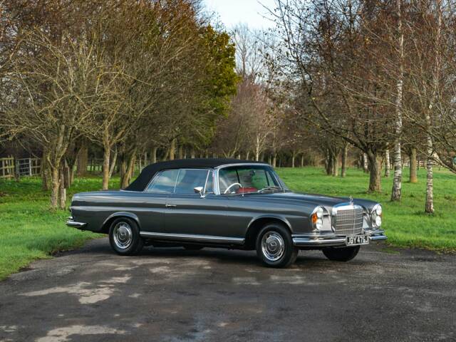 Image 1/50 de Mercedes-Benz 280 SE 3,5 (1971)