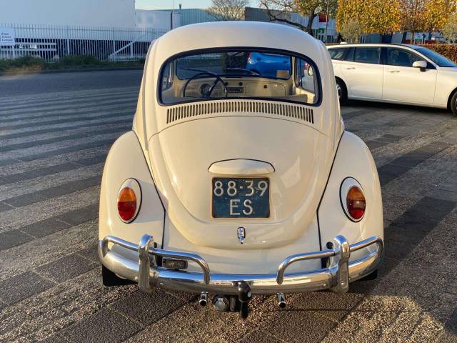 Volkswagen Beetle Classic Cars For Sale - Classic Trader