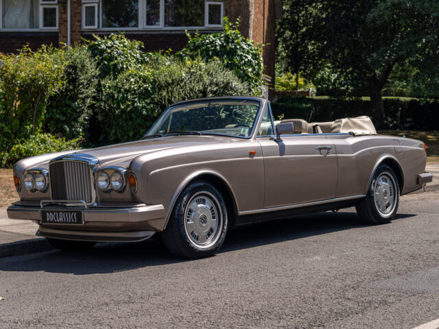 Image 1/32 de Bentley Continental (1992)