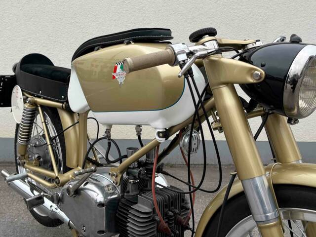 Rumi Junior Gentleman 125