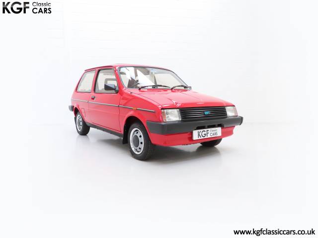 Immagine 1/30 di Austin Metro (1983)