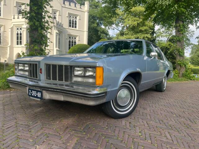 Bild 1/5 von Oldsmobile Delta 88 Royale (1979)