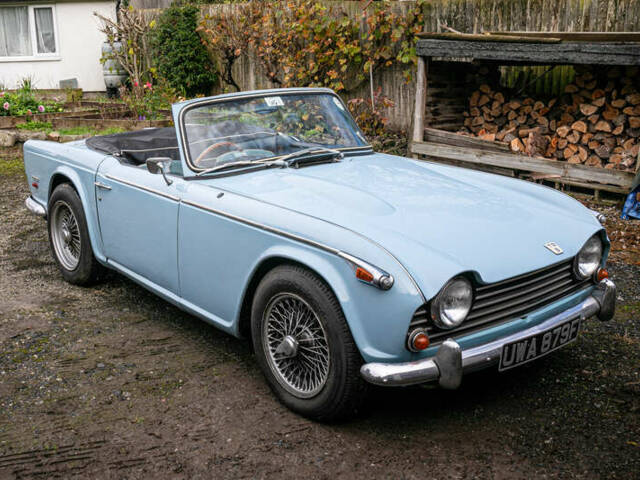 Afbeelding 1/29 van Triumph TR 5 PI (1968)