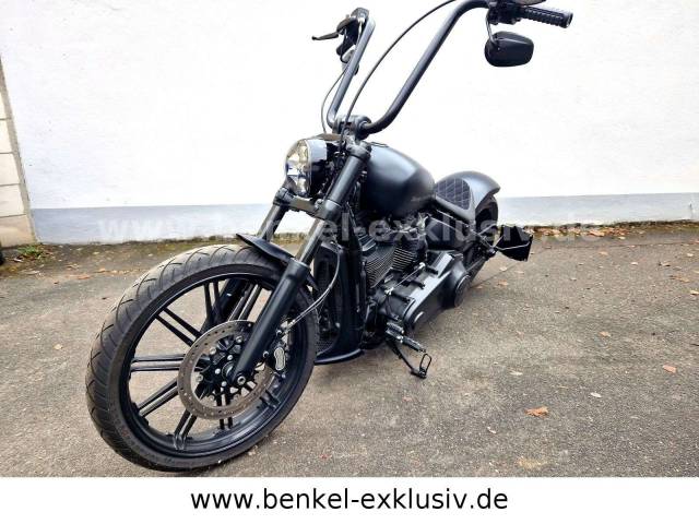 Image 1/5 de Harley-Davidson DUMMY (2020)