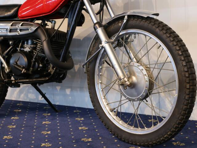 Suzuki TS 250