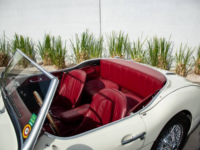 Austin-Healey 100/6 (BN4)