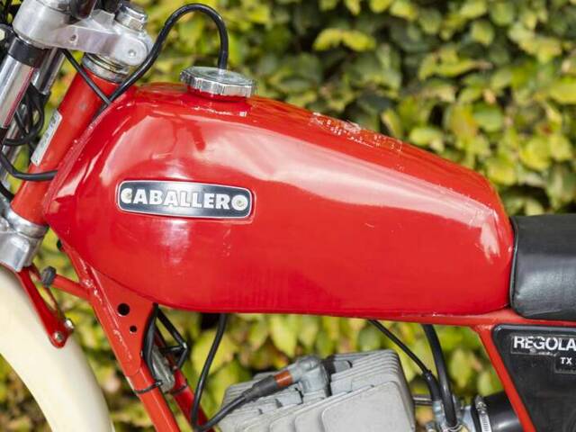 Fantic Caballero 50 Regolarità