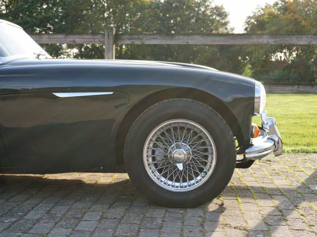 Austin-Healey 3000 Mk III (BJ8)