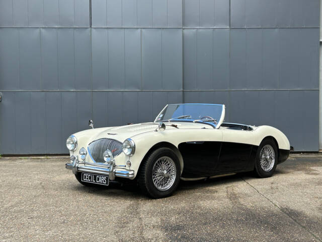 Immagine 1/16 di Austin-Healey 100&#x2F;4 (BN2) (1956)