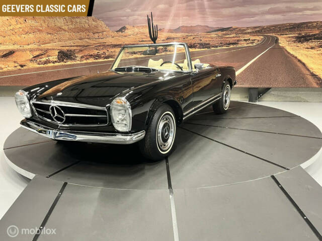 Bild 1/46 von Mercedes-Benz 280 SL (1970)