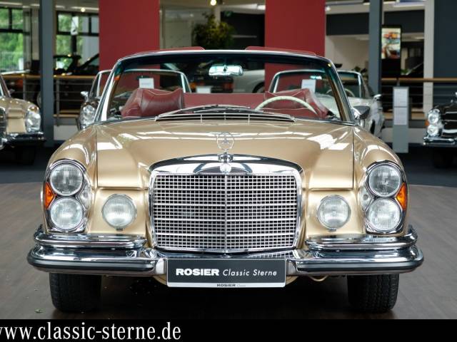Rosier Classic Sterne Gmbhnull