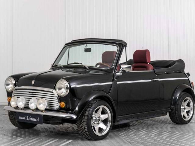 Image 1/50 of Mini 1000 (1989)