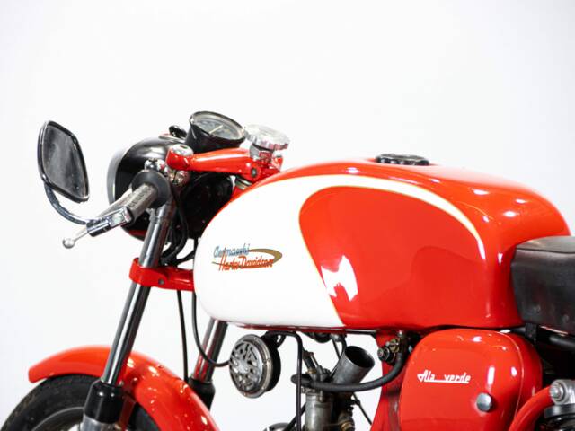 Aermacchi Ala Verde