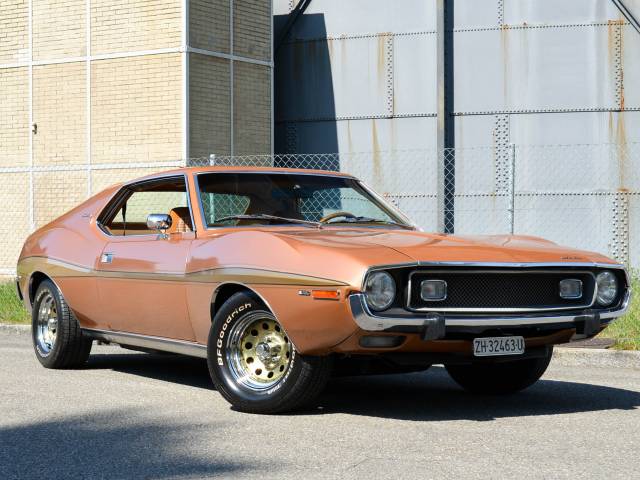 Image 1/32 de AMC Javelin (1973)