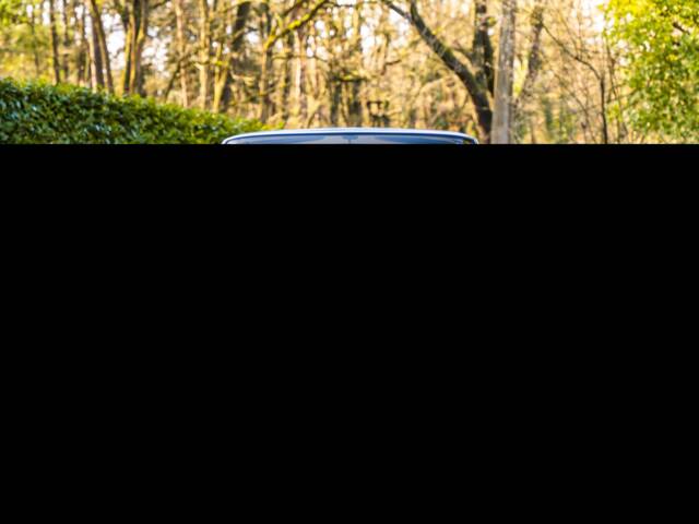 ISO Grifo