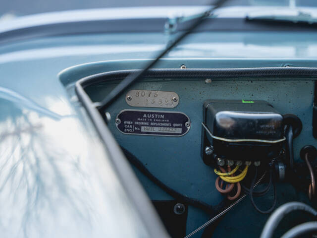 Austin-Healey 100/4 (BN1)