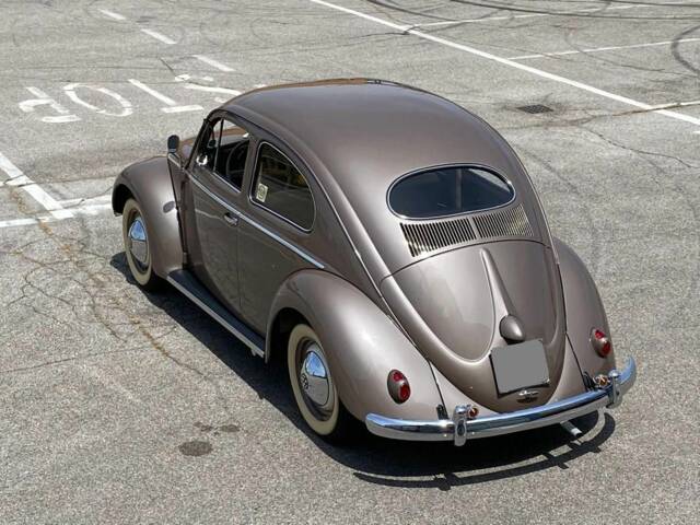 Image 1/23 of Volkswagen Beetle 1200 Export &quot;Oval&quot; (1954)