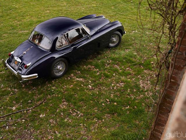 Bild 1/50 von Jaguar XK 150 FHC (1958)